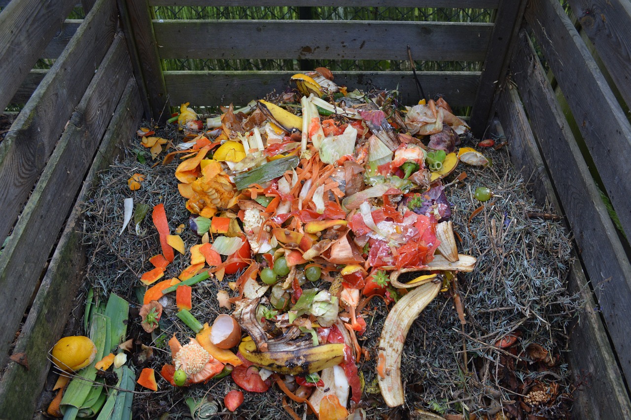 ¿Qué Es El Compost Y Cómo Funciona El Compostaje?